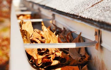 Higher Dinting gutter cleaning companies