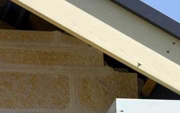 soffit repair Higher Dinting